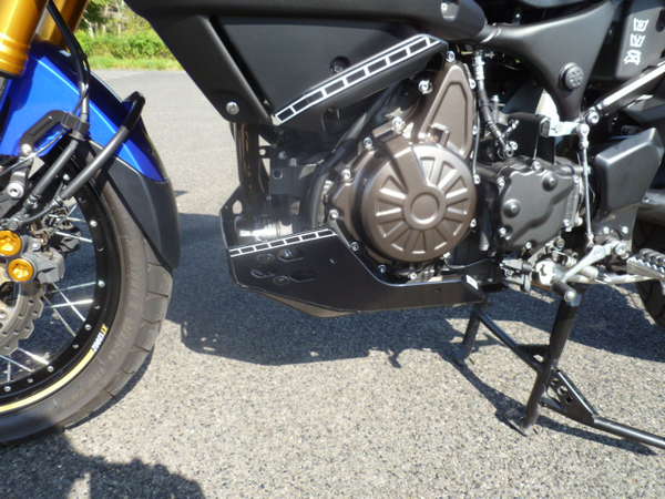 Xt Motorplatte 014.JPG