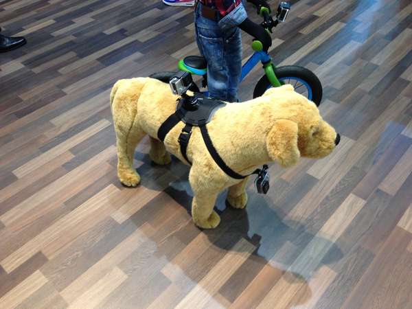 GoPro Zubehör jetzt auch für die Montage an Hund und Kind
