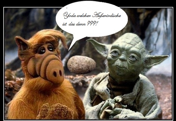 alf.jpg