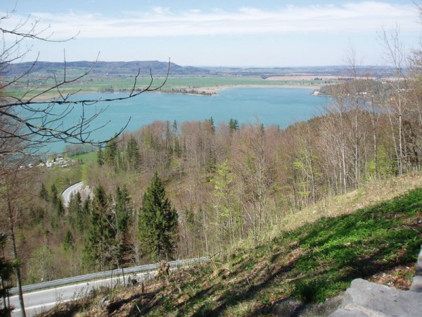 P4220761.JPG