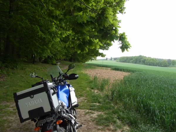 und nochmal, Wechselburger Land...