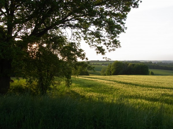 im Wechselburger Land..